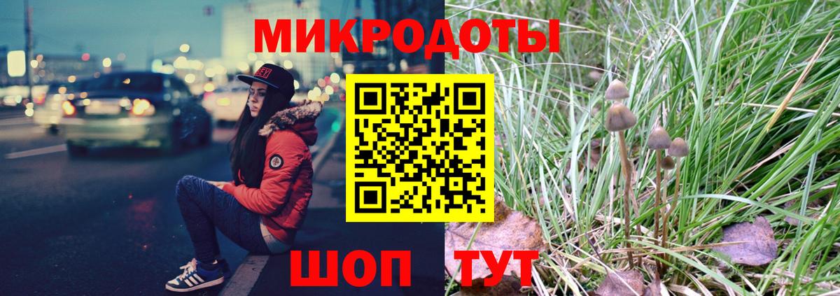 Гусиноозёрск  Псилоцибиновые грибы Psilocybe  Вход с VPN  Псилоцибиновые грибы Psilocybe 