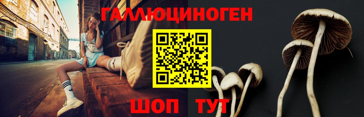 Псилоцибиновые грибы ЛСД Гусиноозёрск